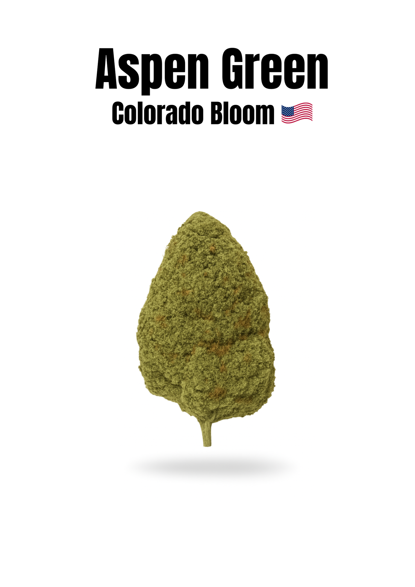 Fleur Indoor de Haute Qualité 21% CBD