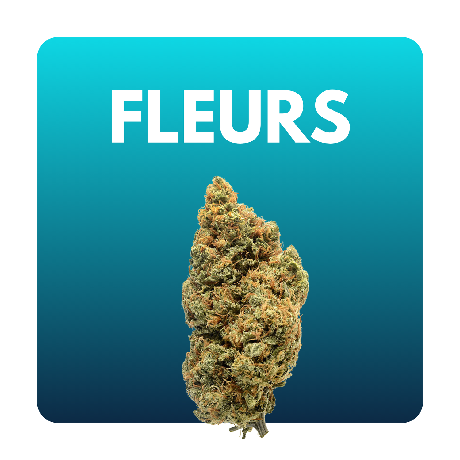 Fleurs de CBD