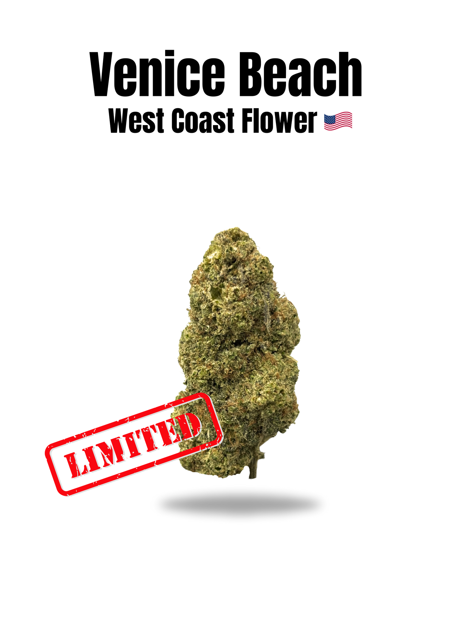 Venice Beach - fleur cbd california hollyweed