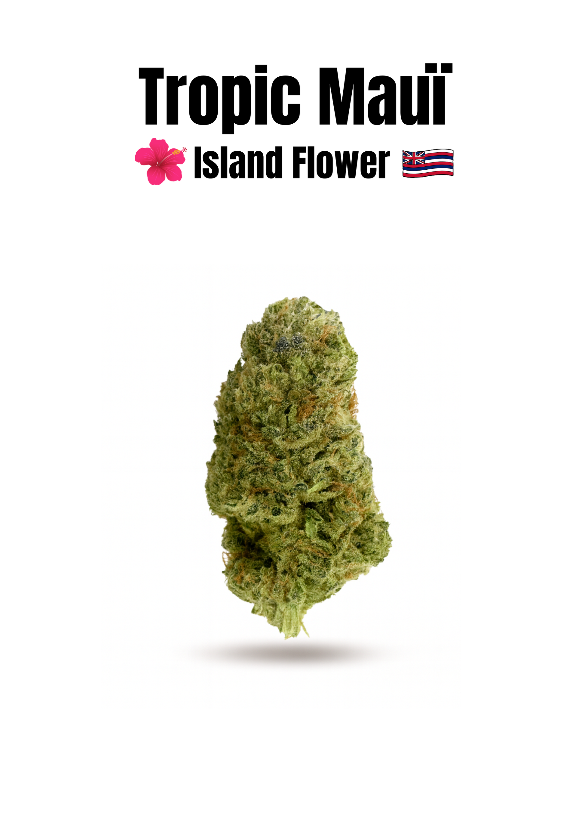 Tropic Mauï Isand Flower - Fleur cbd France