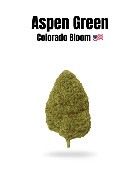 Fleur Indoor de Haute Qualité 21% CBD